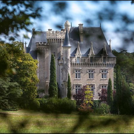 Chateau De Pitray, Pres De Saint Emilion Gardegan-et-Tourtirac Exteriör bild