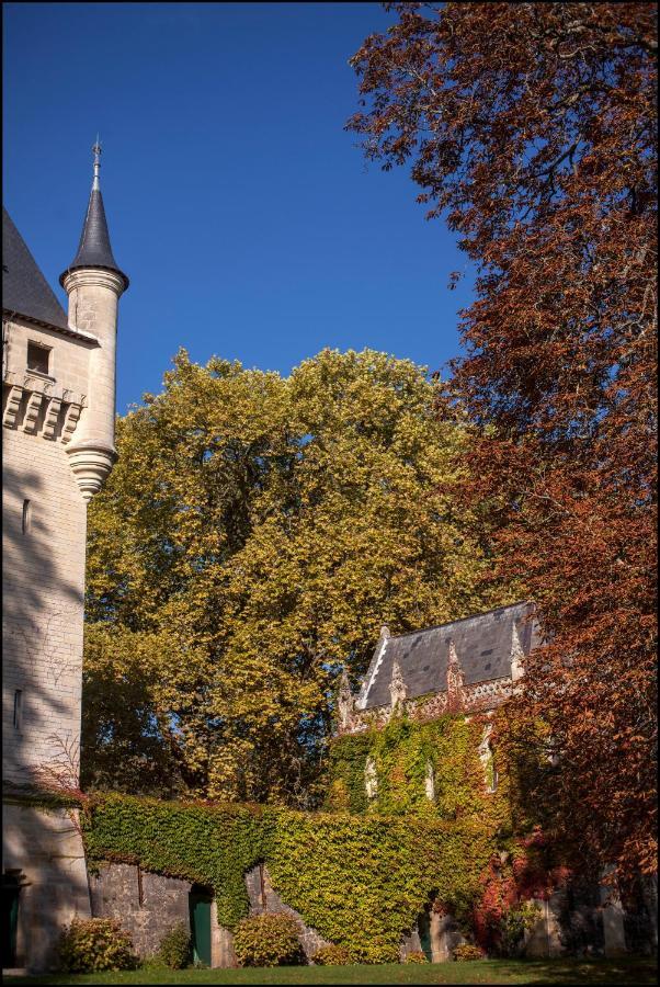 Chateau De Pitray, Pres De Saint Emilion Gardegan-et-Tourtirac Exteriör bild